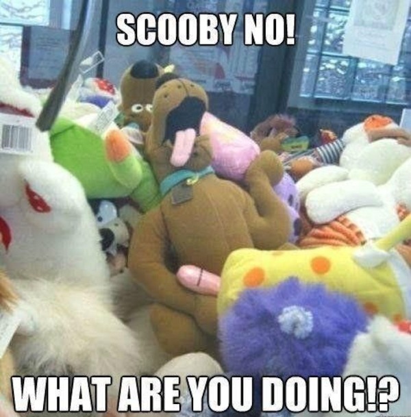 rated r memes - Scooby No! of What Are You Doing!?
