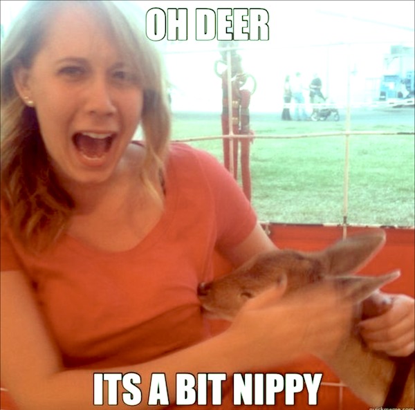 blond - Oh Deer Its A Bit Nippy