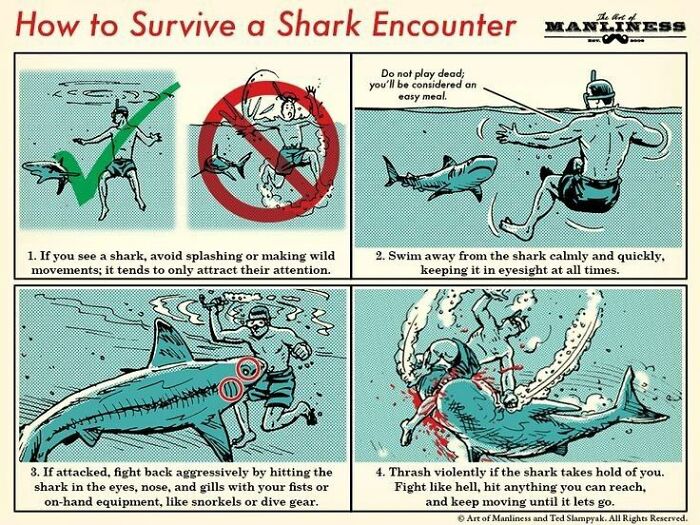 Survival Tips And Tricks - do if you encounter a shark - How to Survive a Shark Encounter Do not play dead; you'll be considered an easy meal. 1. If you see a shark, avoid splashing or making wild movements; it tends to only attract their attention. 3. If
