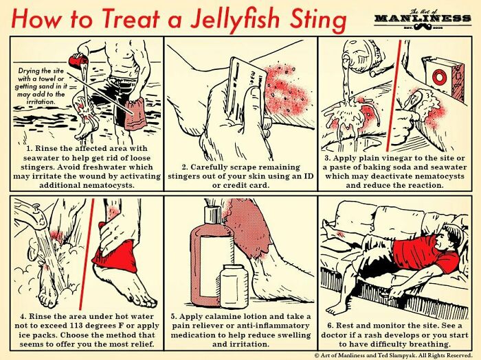 Survival Tips And Tricks - cartoon - How to Treat a Jellyfish Sting Drying the site with a towel or getting sand in it may add to the irritation. 1. Rinse the affected area with seawater to help get rid of loose stingers. Avoid freshwater which may irrita