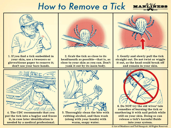 Survival Tips And Tricks - remove a tick - How to Remove a Tick 1. If you find a tick embedded in your skin, use a tweezers or glovestissue paper to remove it; don't use your bare hands. 4. The Cdc recommends that you put the tick into a bagjar and freeze
