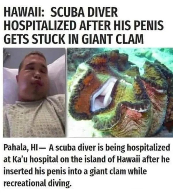 posts that made us hold up - underwater myths - Hawaii Scuba Diver Hospitalized After His Penis Gets Stuck In Giant Clam Pahala, Hi A scuba diver is being hospitalized at Ka'u hospital on the island of Hawaii after he inserted his penis into a giant clam 