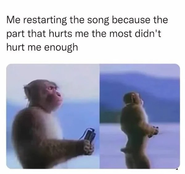 Truth memes - Me restarting the song because the part that hurts me the most didn't hurt me enough