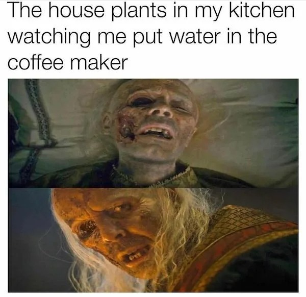Truth memes - photo caption - The house plants in my kitchen watching me put water in the coffee maker