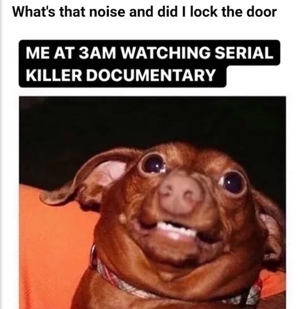 Truth memes - photo caption - What's that noise and did I lock the door Me At 3AM Watching Serial Killer Documentary