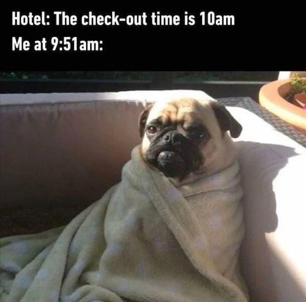 Truth memes - Internet meme - Hotel The checkout time is 10am Me at am