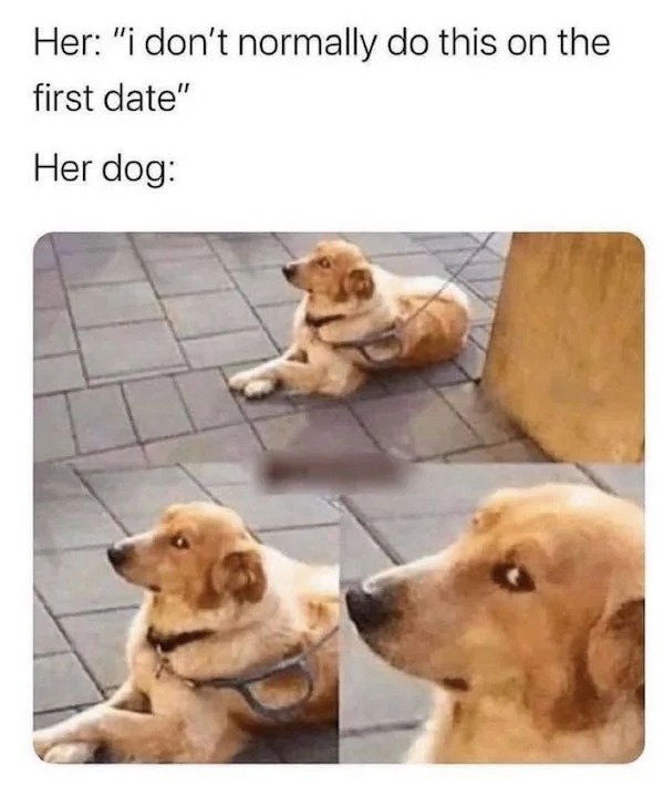 spicy memes for tantric tuesday - yeah sure meme - Her "i don't normally do this on the first date" Her dog