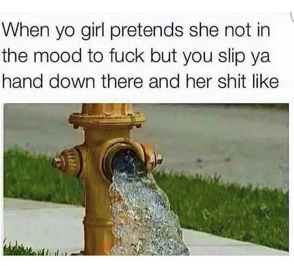 dirty sex couple memes - When yo girl pretends she not in the mood to fuck but you slip ya hand down there and her shit