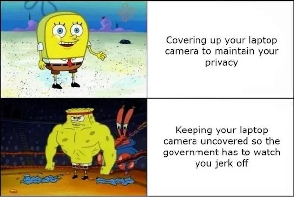 spicy memes for tantric tuesday - minecraft dungeon memes - Covering up your laptop camera to maintain your privacy Keeping your laptop camera uncovered so the government has to watch you jerk off