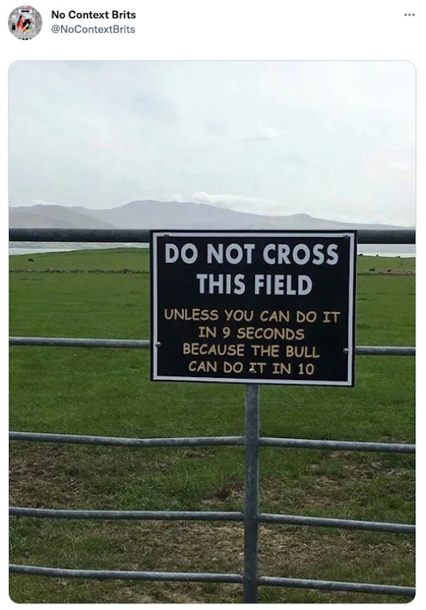 funny tweets - grass - No Context Brits Do Not Cross This Field Unless You Can Do It In 9 Seconds Because The Bull Can Do It In 10 ...