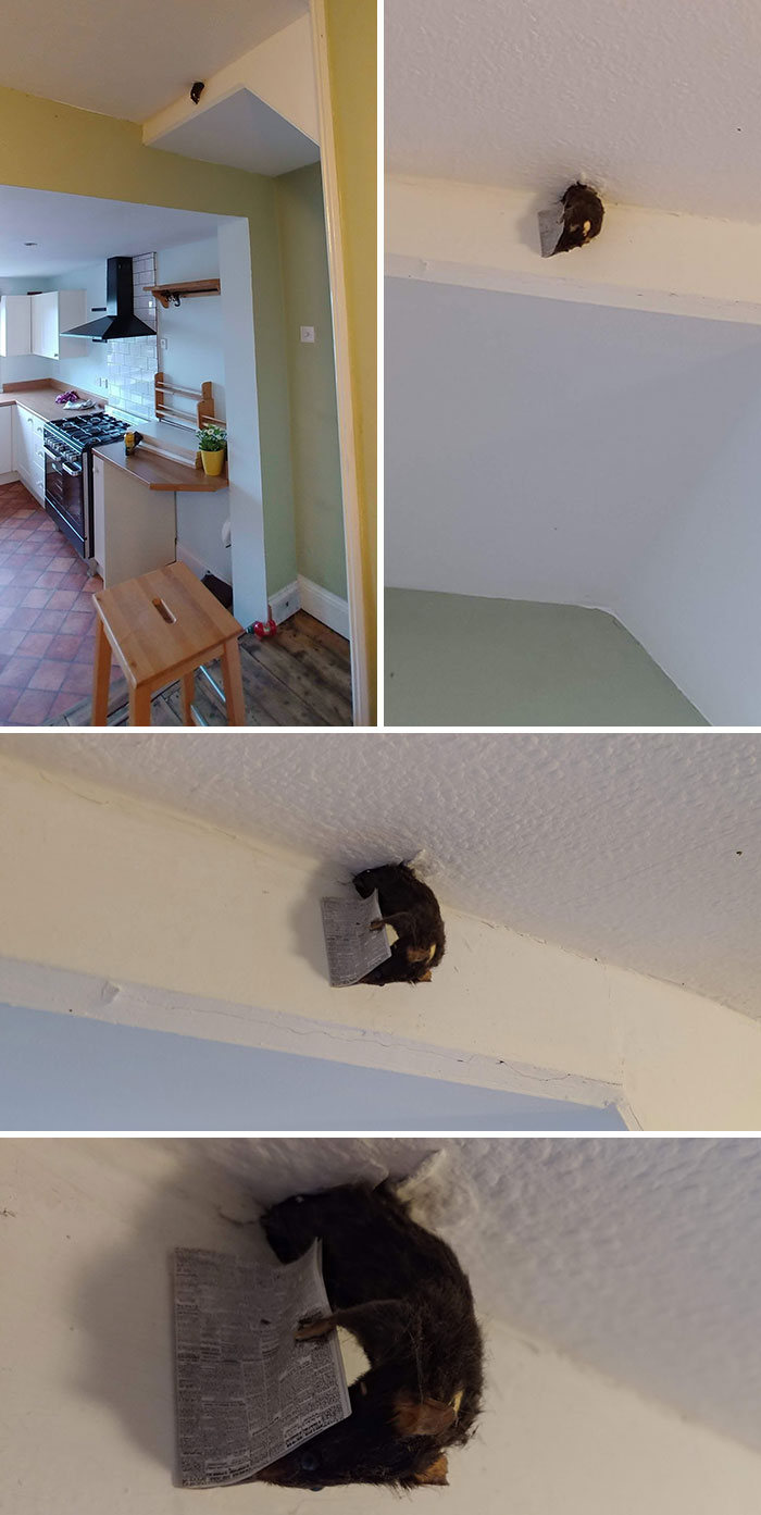 We Recently Started Renting A New House, Not Sure What To Make Of This