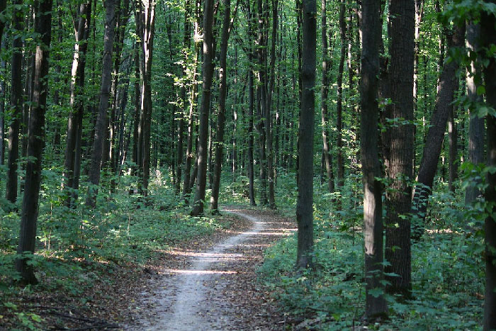 Once I went hiking in a well known area. I somehow managed to walk out of the wild on the same path I went in without getting turned around.
This wasn't some strange wilderness either. This was an area I knew like the back of my hand, yet somehow my path onto the back of the mountain spat me out at the front lot. Personally I've never been one to question signs like that so I simply got into my car and got the hell out of there.