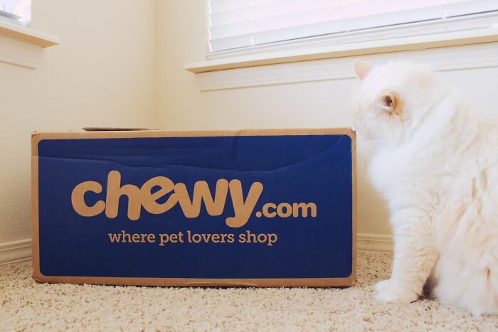 the pet food company Chewy sends flowers and a card when a customer's pet dies. They will reimburse the purchase of unopened food and suggest it be donated to a shelter. They also offer the option of talking to someone about the grief of losing a pet.