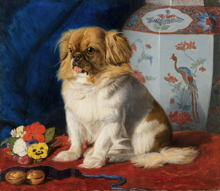 that during the looting of the Chinese imperial palace at the end of the 2nd Opium War, the British soldiers took a Pekingese dog to gift to Queen Victoria. She named it "Looty".