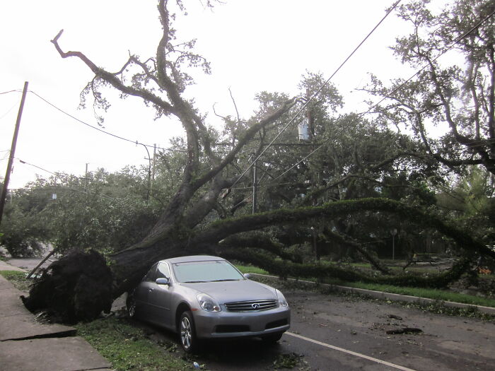 about Melanie Martinez, a Louisiana native who had five separate houses destroyed by five separate hurricanes: Betsy (1965), Juan (1985), George (1998), Katrina (2005) and Isaac (2012).