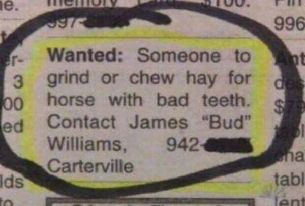 wtf pics - funny job adverts - ne. 3 00 ed ds to Wanted Someone grind or chew hay for horse with bad teeth. Contact James "Bud" Williams, 942 Carterville 996 Ant des $79 251 ha tabl lent