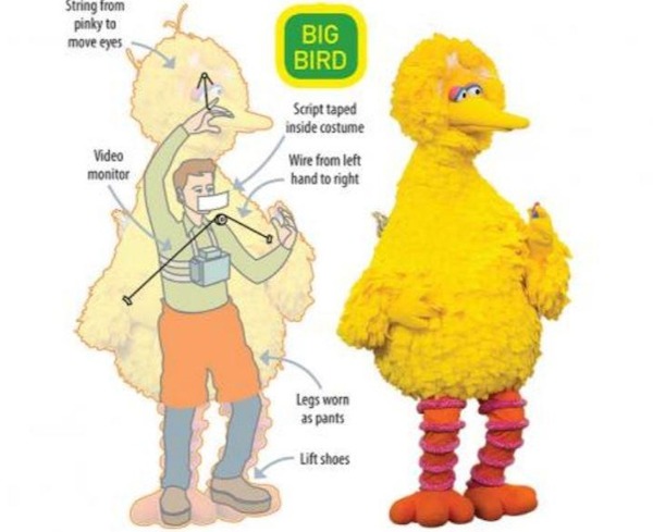 jim henson big bird - String from pinky to move eyes Video monitor Big Bird Script taped inside costume Wire from left hand to right Legs worn as pants Lift shoes