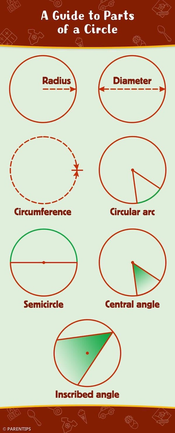 angle - Bc A Guide to Parts of a Circle Radius Diog Circumference Parentips Semicircle Diameter Circular arc Ed Central angle Inscribed angle