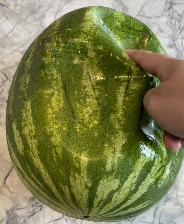 “I heard something dripping in the kitchen and found my watermelon had deflated.”