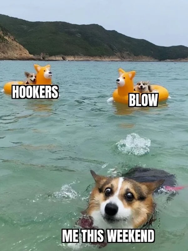 spicy memes for thirsty thursday - sai kung east country park - Hookers Blow Me This Weekend