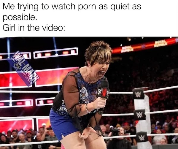 spicy memes for thirsty thursday - vickie guerrero royal rumble - Me trying to watch porn as quiet as possible. Girl in the video We Love Wrestling Wal Mark B W W W