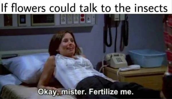 spicy memes for thirsty thursday - girl - If flowers could talk to the insects Eet Okay, mister. Fertilize me.