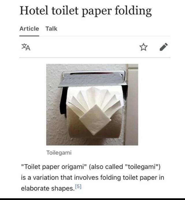 WTF Things That Actually Exist - angle - Hotel toilet paper folding Article