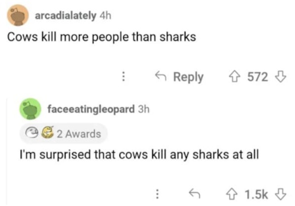 Funny Comments - Cows kill more people than sharkswards I'm surprised that cows kill any sharks at all 4