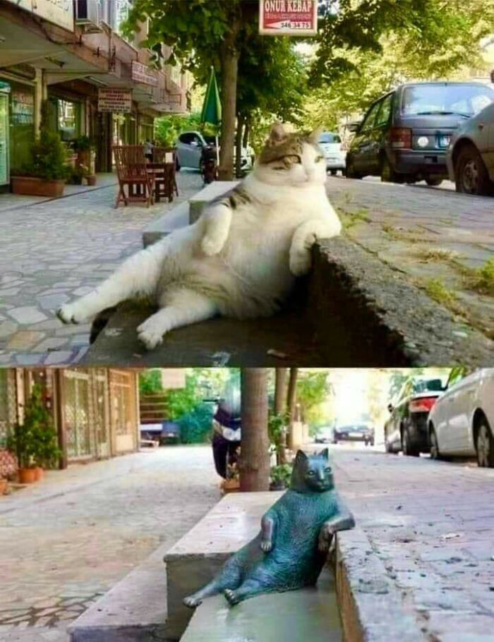 A Statue In Istanbul To Honor Tombili, A Famous Stray Cat. Tombili Would Sit In This Position And Watch People Pass By