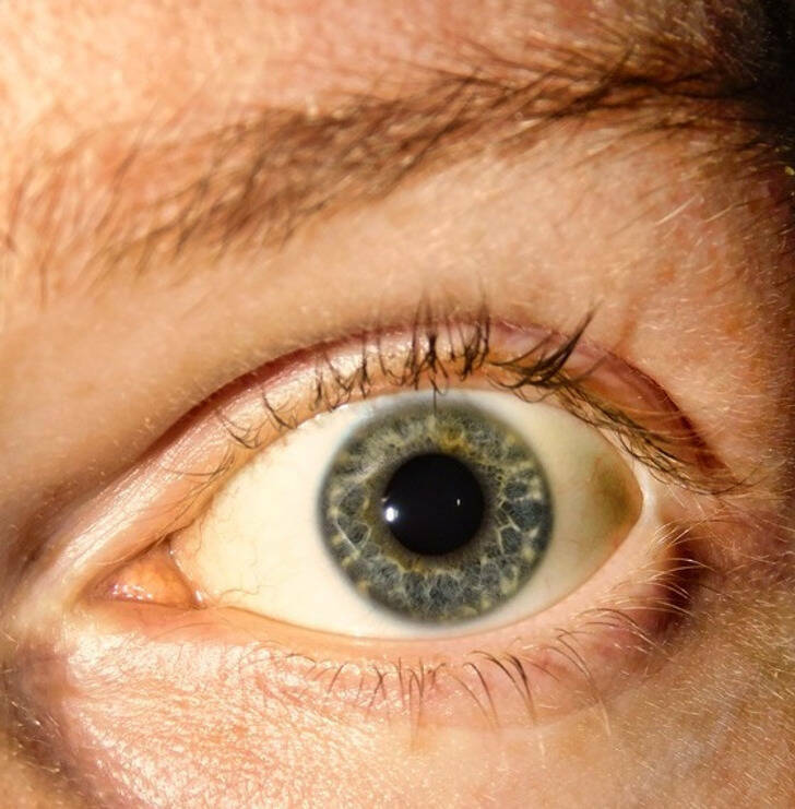“What eye color is this? It changes depending on the lighting and switches from blue to green to gray.”