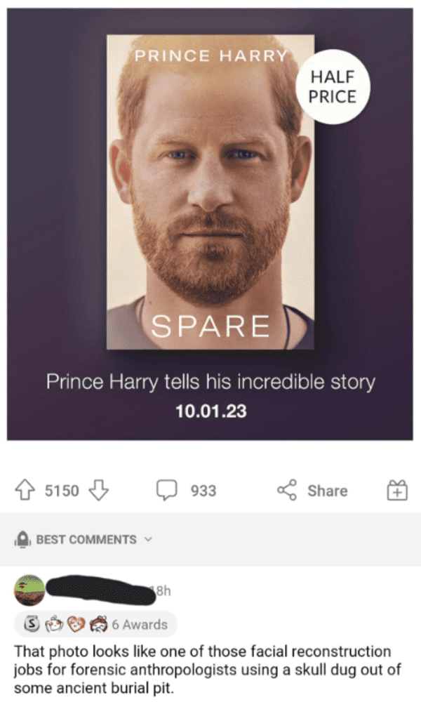 savage comments - beard - Prince Harry 5150 Spare Prince Harry tells his incredible story 10.01.23 Best 8h Half Price 933 1 6 Awards That photo looks one of those facial reconstruction jobs for forensic anthropologists using a skull dug out of some ancien