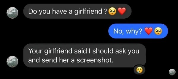 WTF memes and pics - screenshot - Do you have a girlfriend? No, why? Your girlfriend said I should ask you and send her a screenshot.