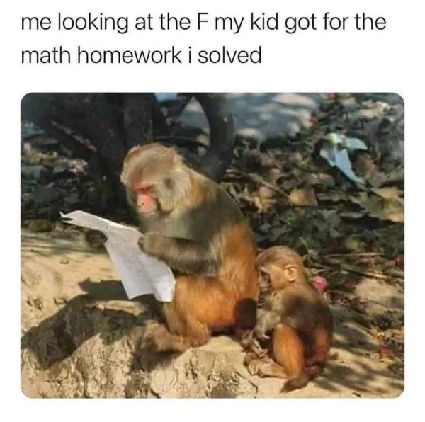 WTF memes and pics - me looking at my kids homework - me looking at the F my kid got for the math homework i solved