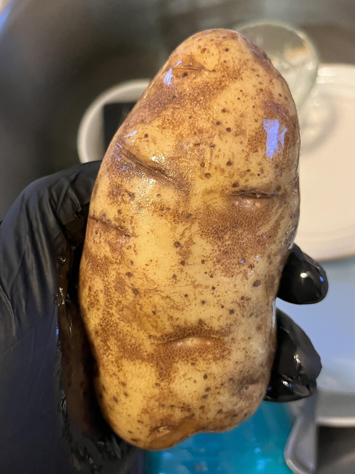 ’’This potato looks like it has a very unimpressed expression.’’