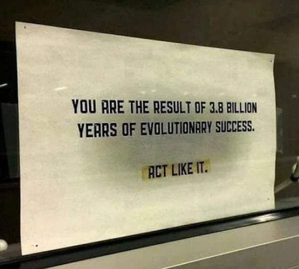 adult themed memes - signage - You Are The Result Of 3.8 Billion Years Of Evolutionary Success. Act It.