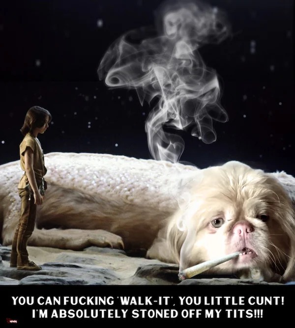 adult themed memes - never ending story - You Can Fucking 'WalkIt', You Little Cunt! I'M Absolutely Stoned Off My Tits!!!