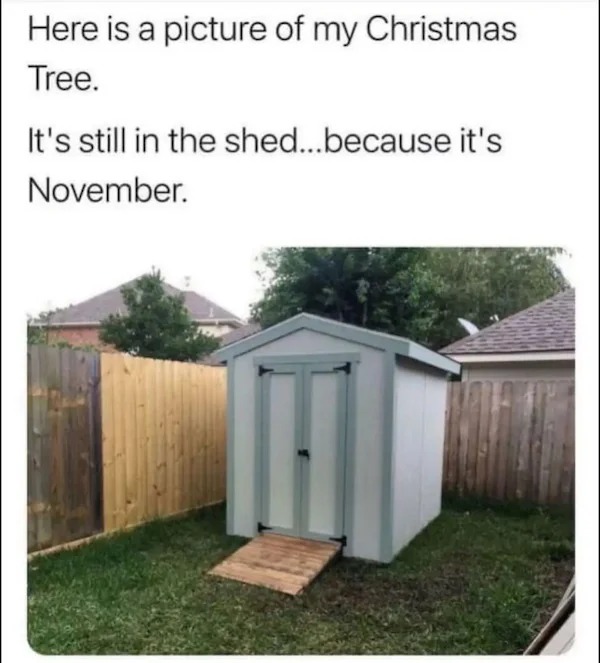 adult themed memes - christmas tree in a shed because it's still november - Here is a picture of my Christmas Tree. It's still in the shed...because it's November.