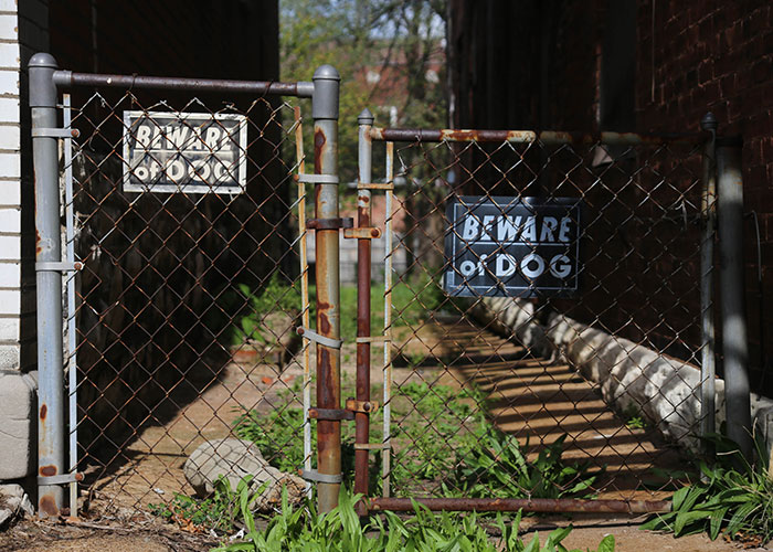 Dogs left out all day and night in fenced yards barking their heads off.