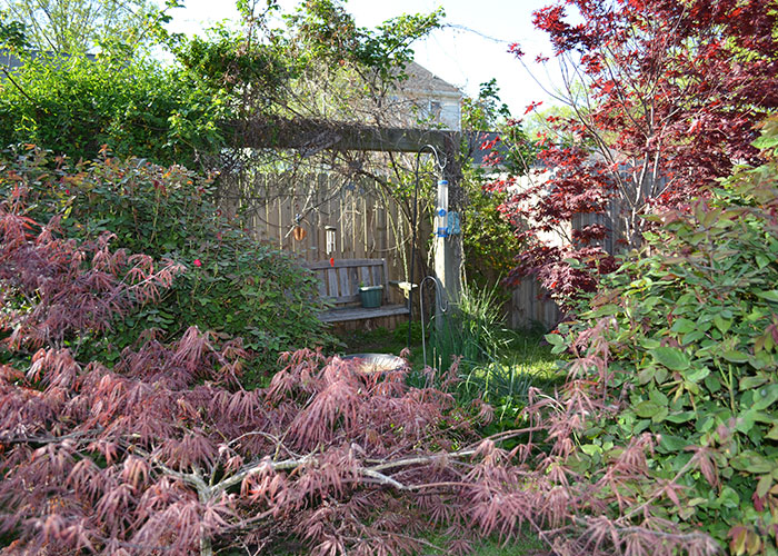 Dead gardens and giant weeds everywhere