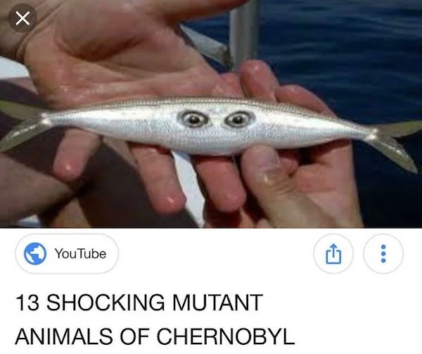 clearly fake thumbnails - mutated animals - X You Tube 13 Shocking Mutant Animals Of Chernobyl ...