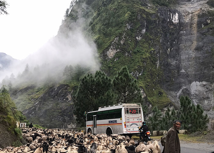 In India our bus rounded a corner in the mountains and another bus was on the other side of the curve. Both busses skid to a stop about 1 foot from one another. Both drivers started laughing and poking fun at each other. We saw a bus from the '80s that fell down the mountain about 15 minutes later. Hella intense.