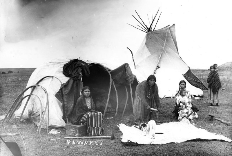 A Pawnee woman preparing an animal skin at a campsite. Oklahoma, 1886.