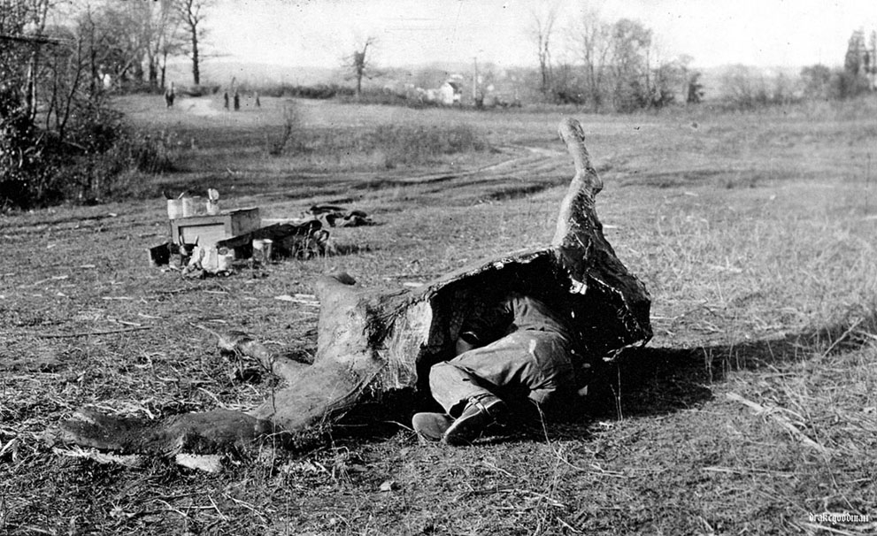 Sniper hides in fake horse carcass in no man’s land, WW1