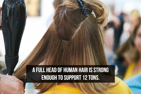 fascinating facts - A Full Head Of Human Hair Is Strong Enough To Support 12 Tons.