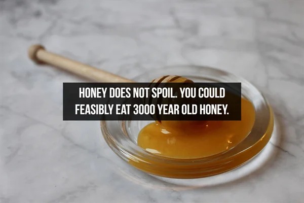 fascinating facts - Honey Does Not Spoil. You Could Feasibly Eat 3000 Year Old Honey.