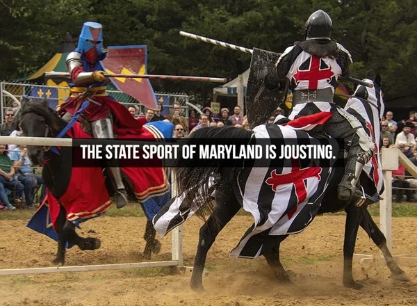 fascinating facts - greenpeace field - The State Sport Of Maryland Is Jousting.