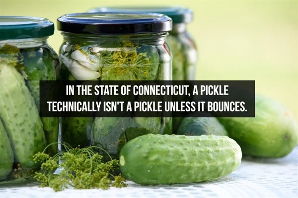 fascinating facts - In The State Of Connecticut, A Pickle Technically Isn'T A Pickle Unless It Bounces.