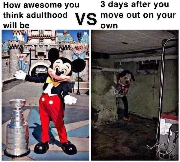 dank memes - cold war meme - How awesome you think adulthood will be Vs 3 days after you move out on your own