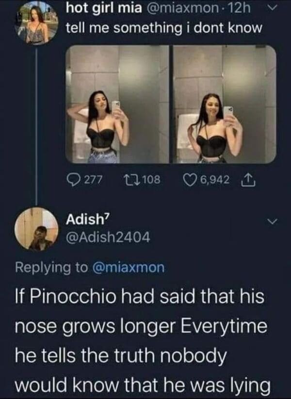 savage comments - technically true memes - hot girl mia tell me something i dont know 277 108 Adish' 6,942 1 If Pinocchio had said that his nose grows longer Everytime he tells the truth nobody would know that he was lying