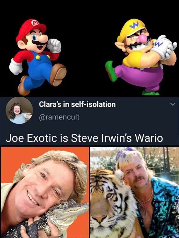 oddly specific posts - joe exotic is steve irwin's wario - W Clara's in selfisolation Joe Exotic is Steve Irwin's Wario
